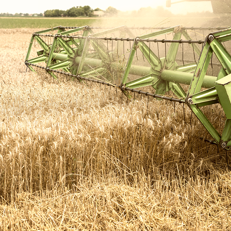 travaux agricoles Charente