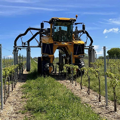 travaux viticoles Charente