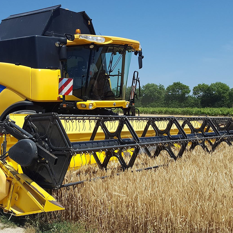 travaux agricoles Charente